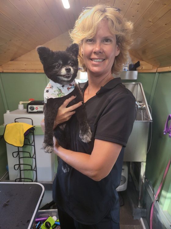Freshly groomed dog standing for a photo